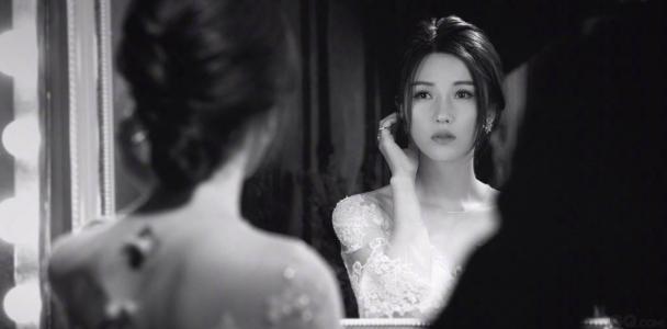 系统集成项目经理/证书模板/图片